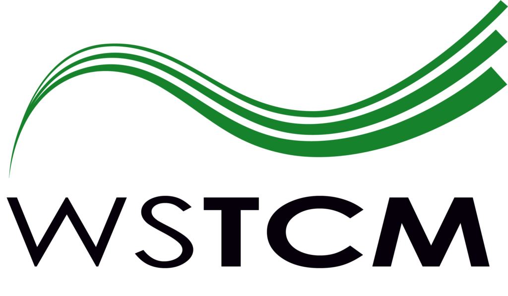 Wiener Schule für TCM Logo