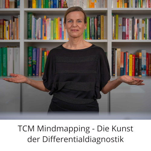TCM-Mindmapping-Ina-Diolosa-Veranstaltungsbild